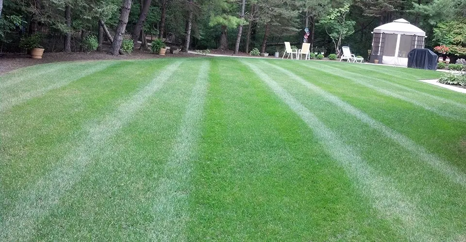 lawn care