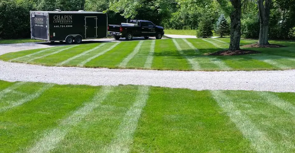 lawn care