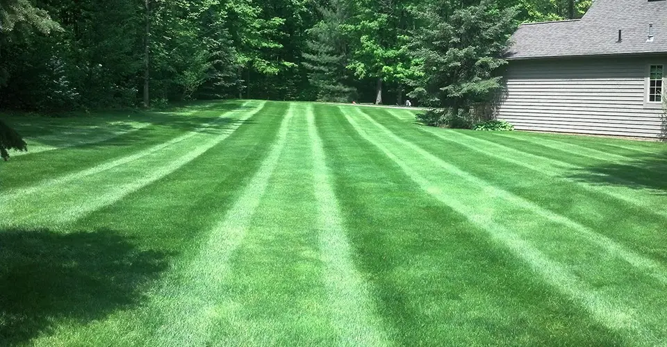 lawn care